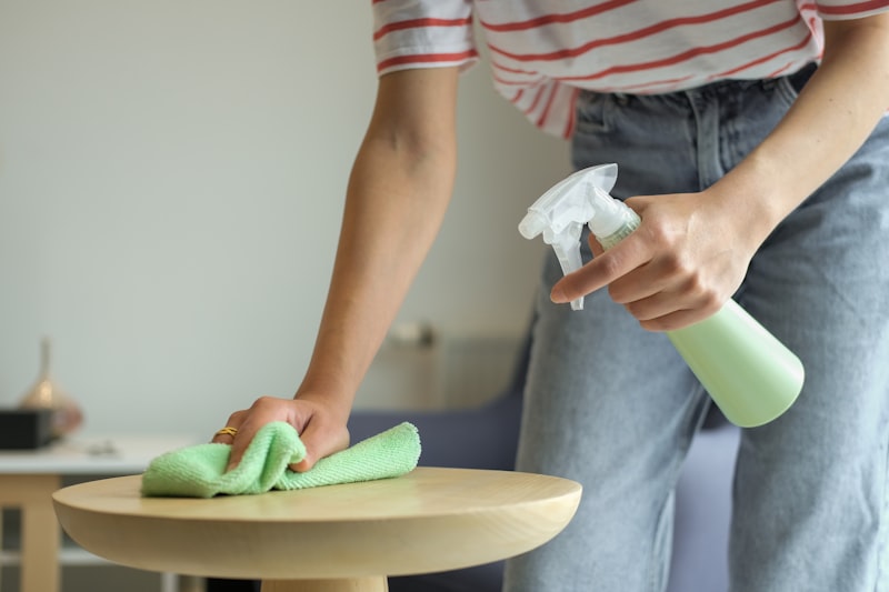 Professional home cleaning service