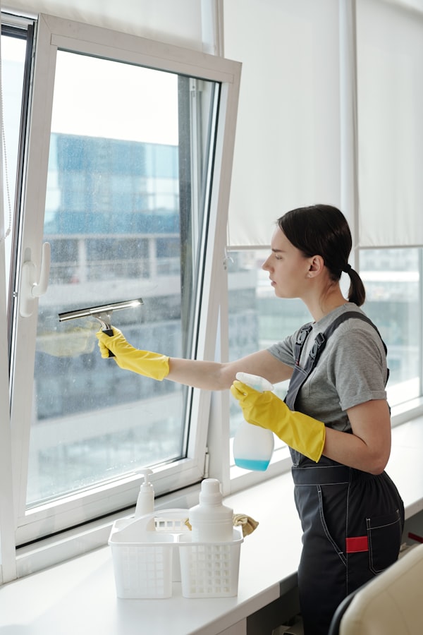 Professional cleaning action